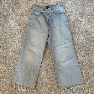 J. Crew Light Blue Wide-Leg Crop Jeans
